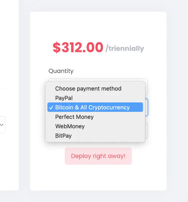 Choose payment method in 1Gbits