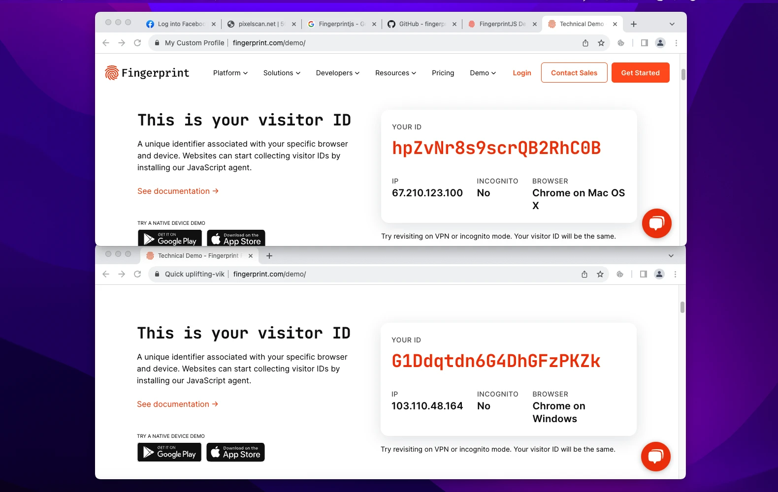 Two Octo Browser Profiles with unique fingerprints