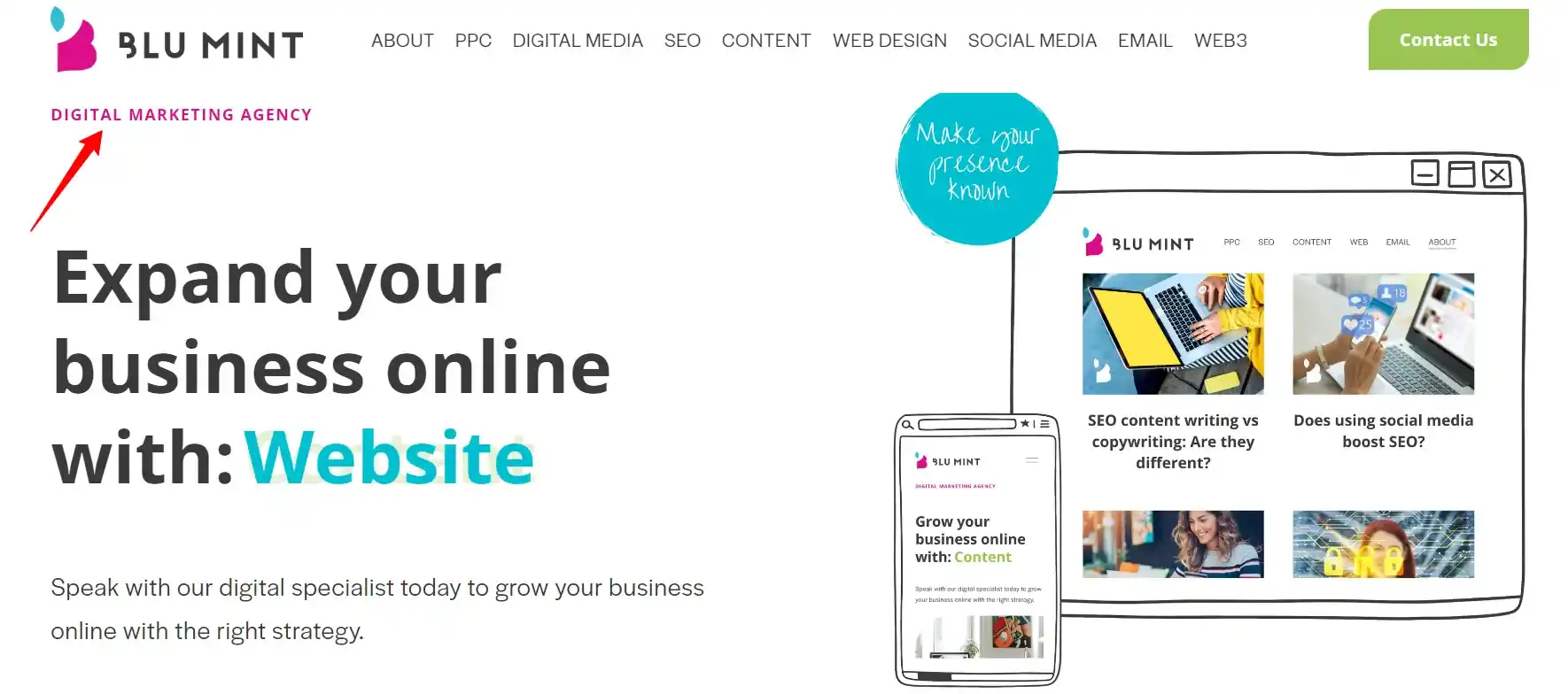 Blu Mint  digital marketing agencies for small businesses