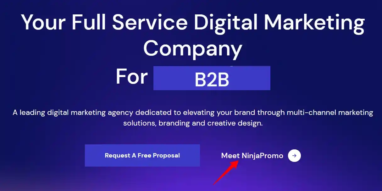 NinjaPromo digital marketing agency