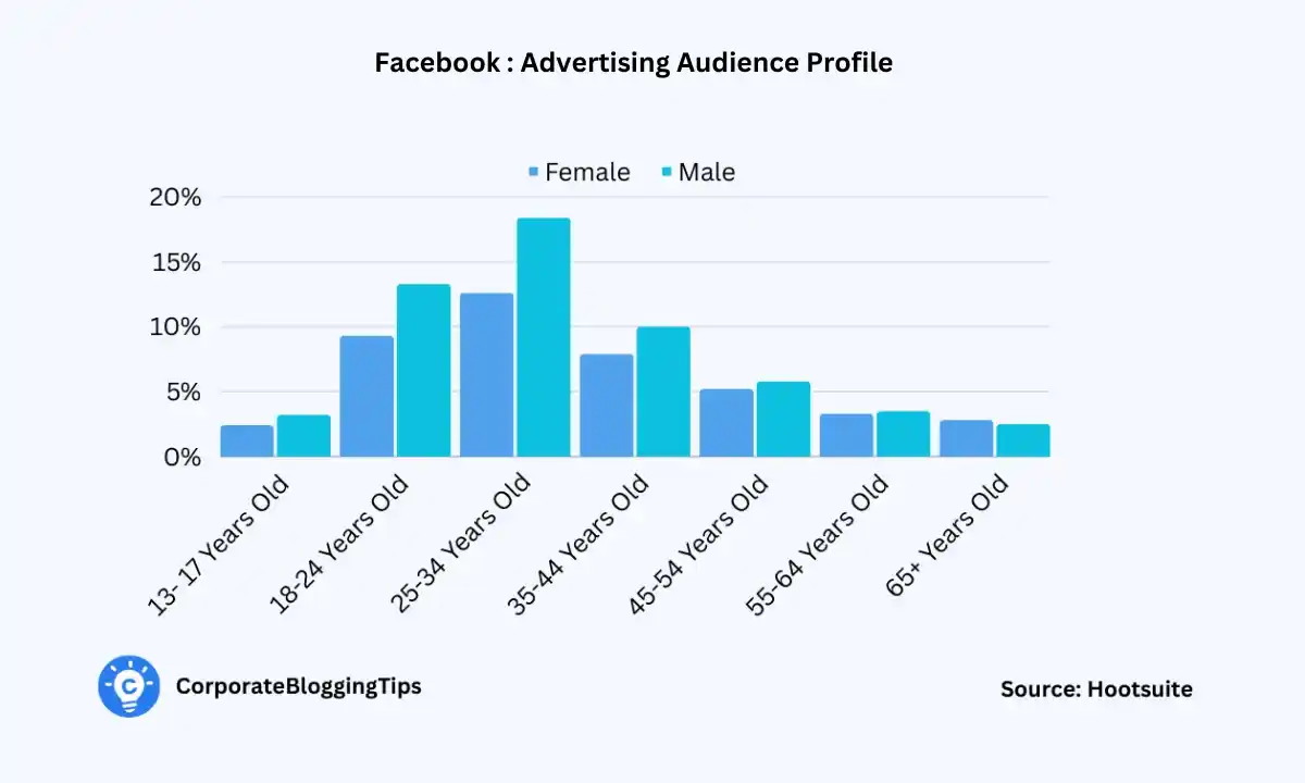 Facebook advertising audience profile stats