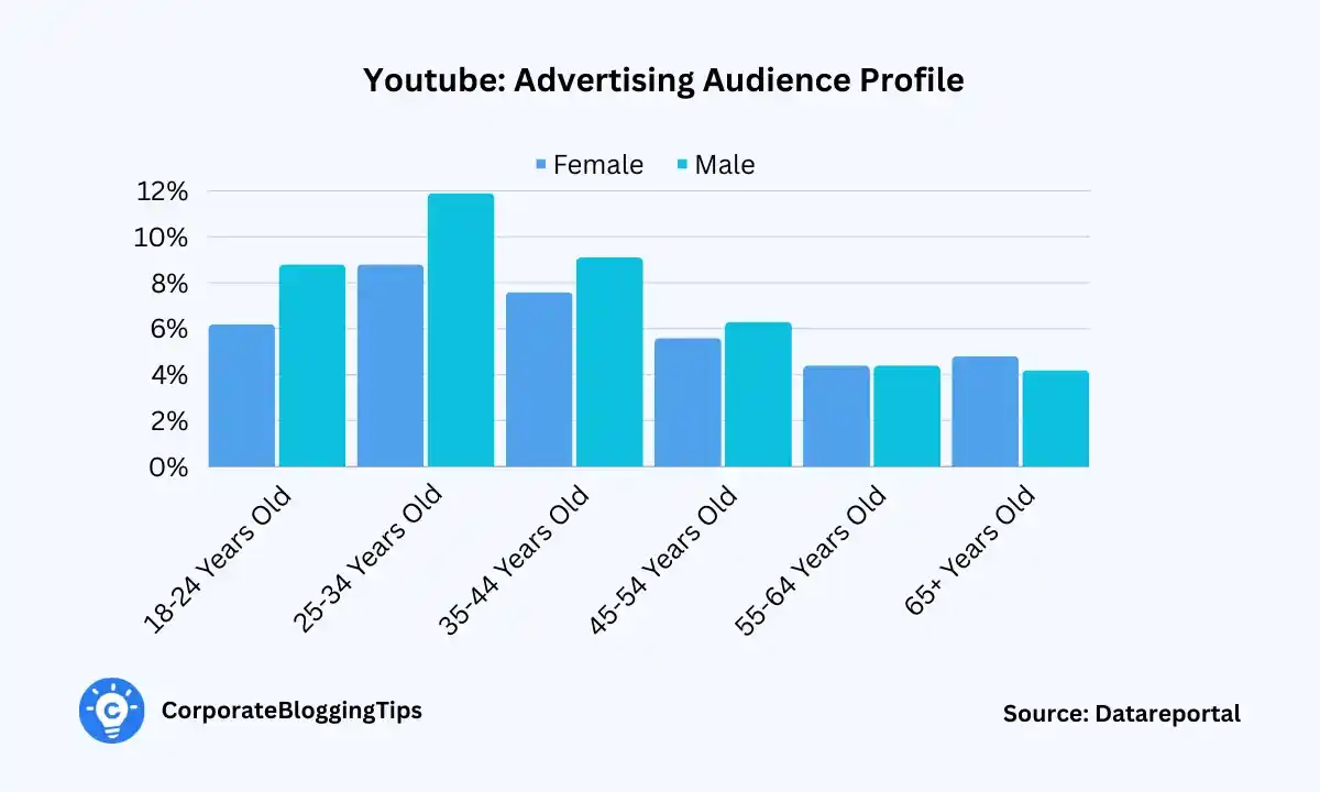 Youtube Advertising Audience Profile